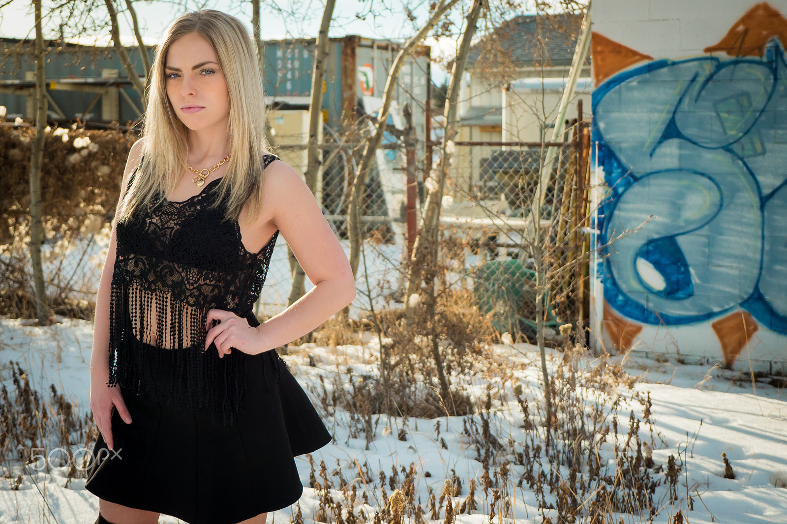 Panasonic Lumix G X Vario 12-35mm F2.8 ASPH Power OIS sample photo. Janelle photography
