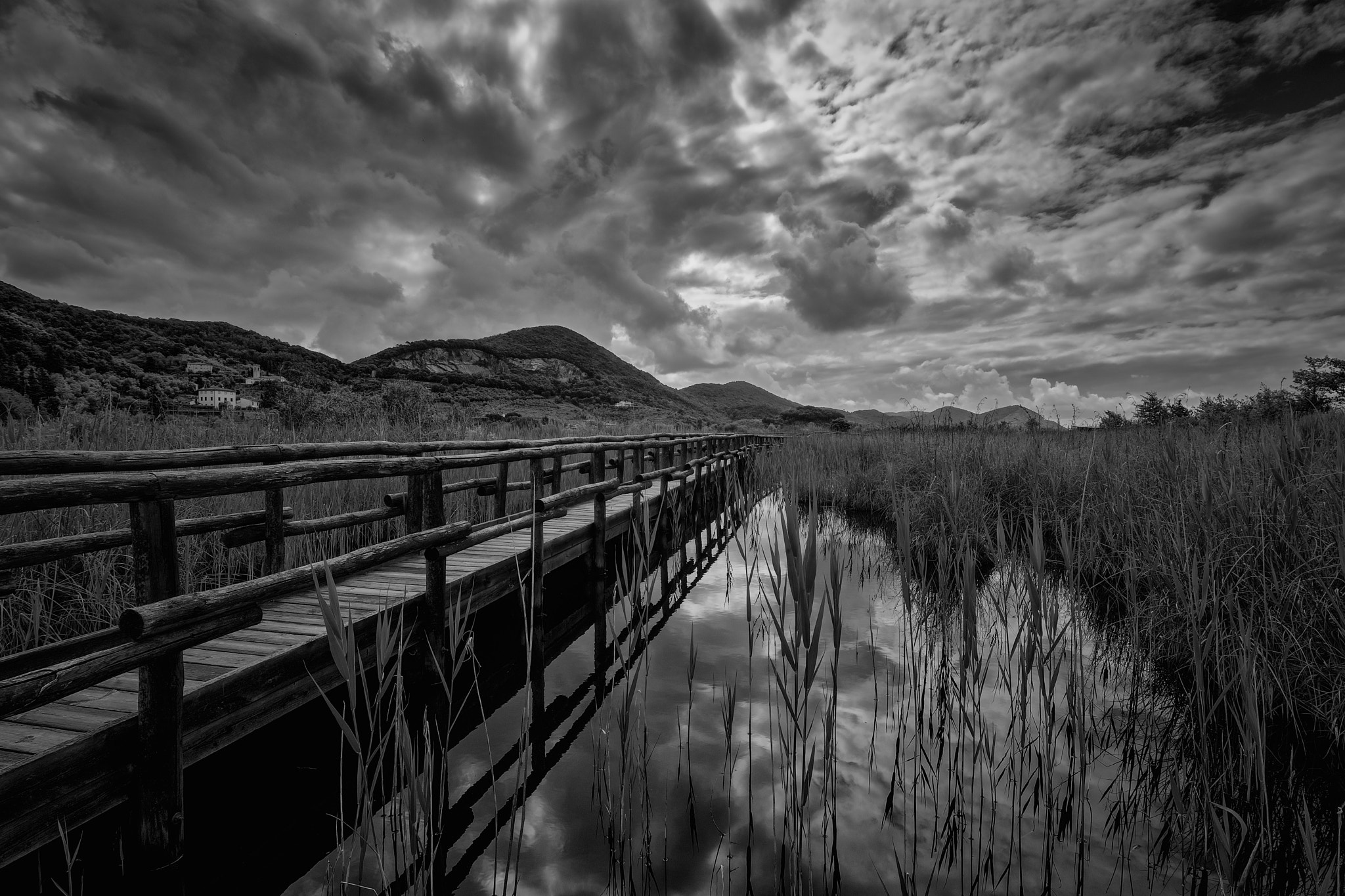 Tokina AT-X Pro 11-16mm F2.8 DX sample photo. Oasi massaciuccoli photography