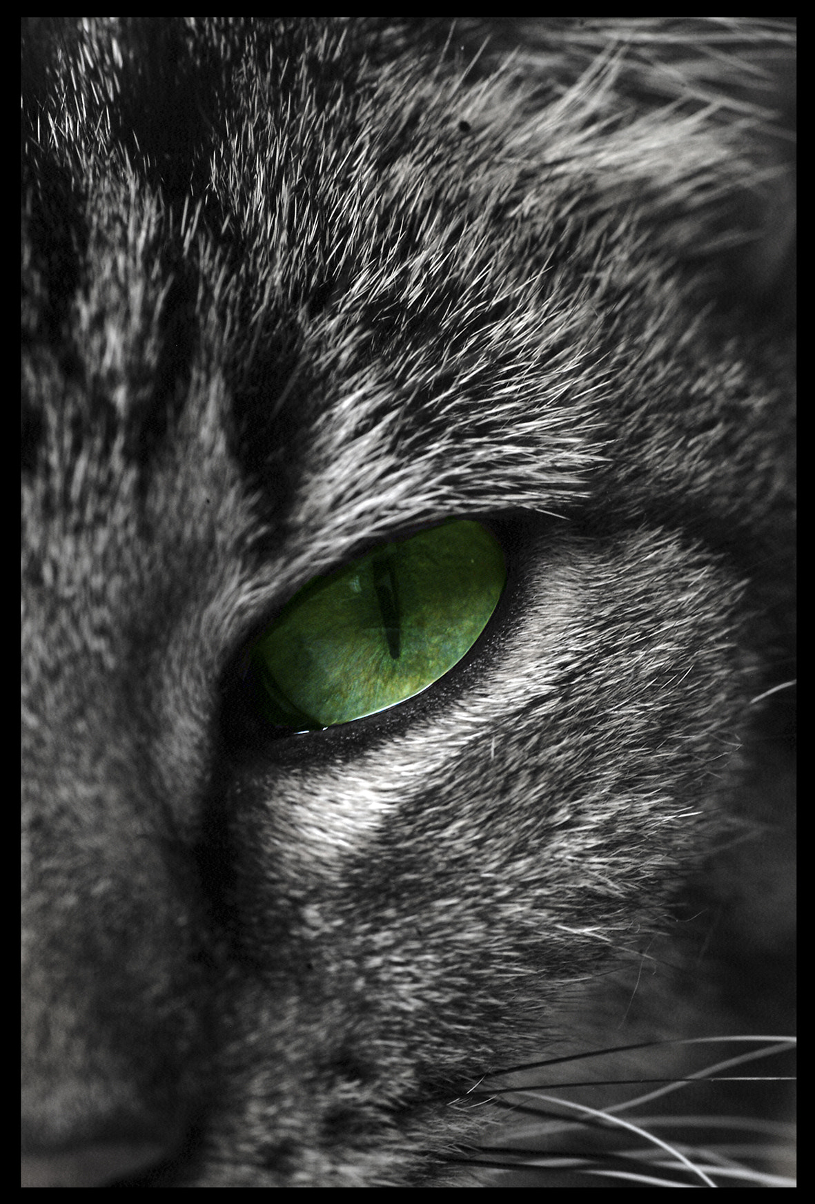 Fujifilm FinePix S1 Pro sample photo. Green eyed girl photography