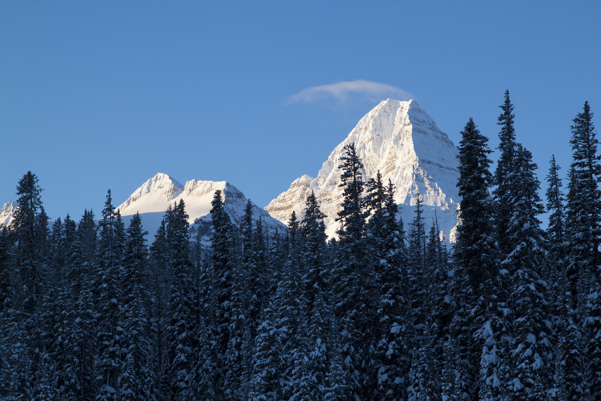 Canon EOS 500D (EOS Rebel T1i / EOS Kiss X3) sample photo. Good morning, b.c. photography