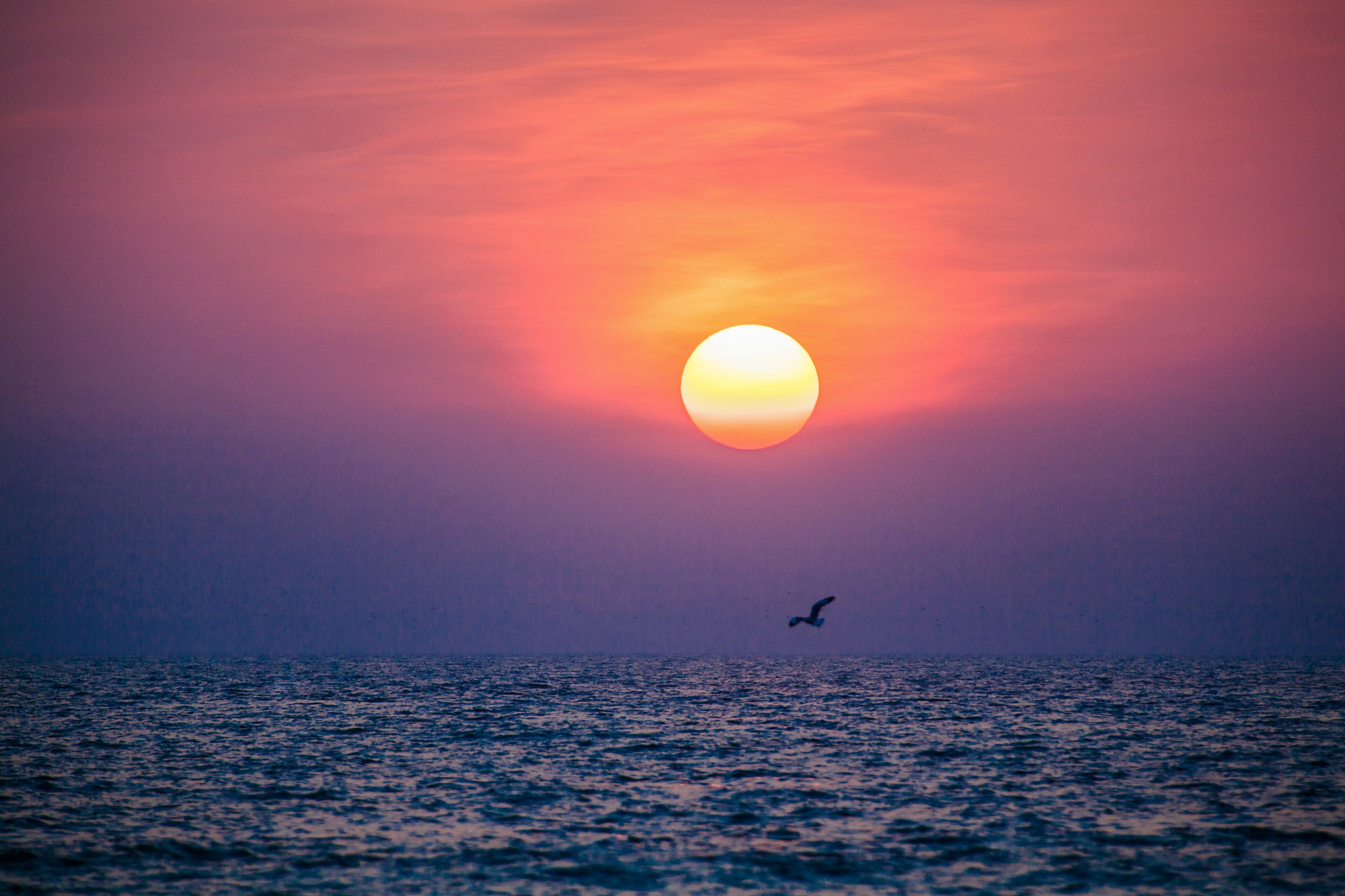 Canon EF 70-200mm F2.8L IS II USM sample photo. Goa sunset photography