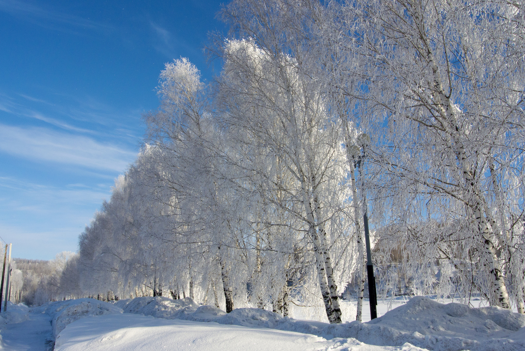 Nikon 1 Nikkor VR 10-30mm F3.5-5.6 sample photo. Морозное утро photography