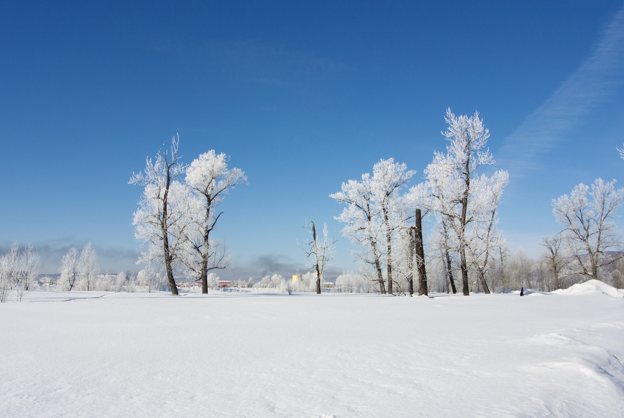 Nikon 1 V1 + Nikon 1 Nikkor VR 10-30mm F3.5-5.6 sample photo. Морозное утро photography