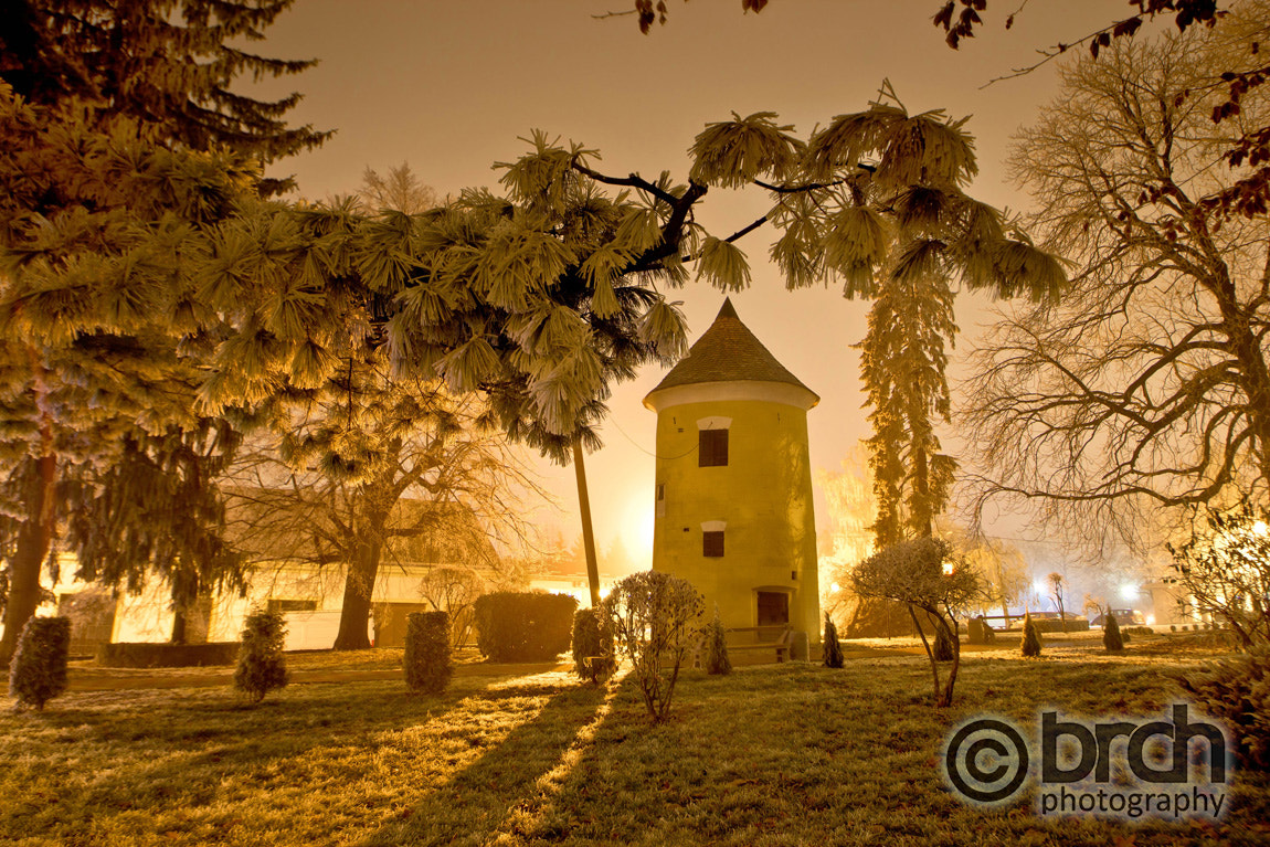 Canon EOS 550D (EOS Rebel T2i / EOS Kiss X4) + Sigma 10-20mm F3.5 EX DC HSM sample photo. Vrbovec winter night scene in park photography