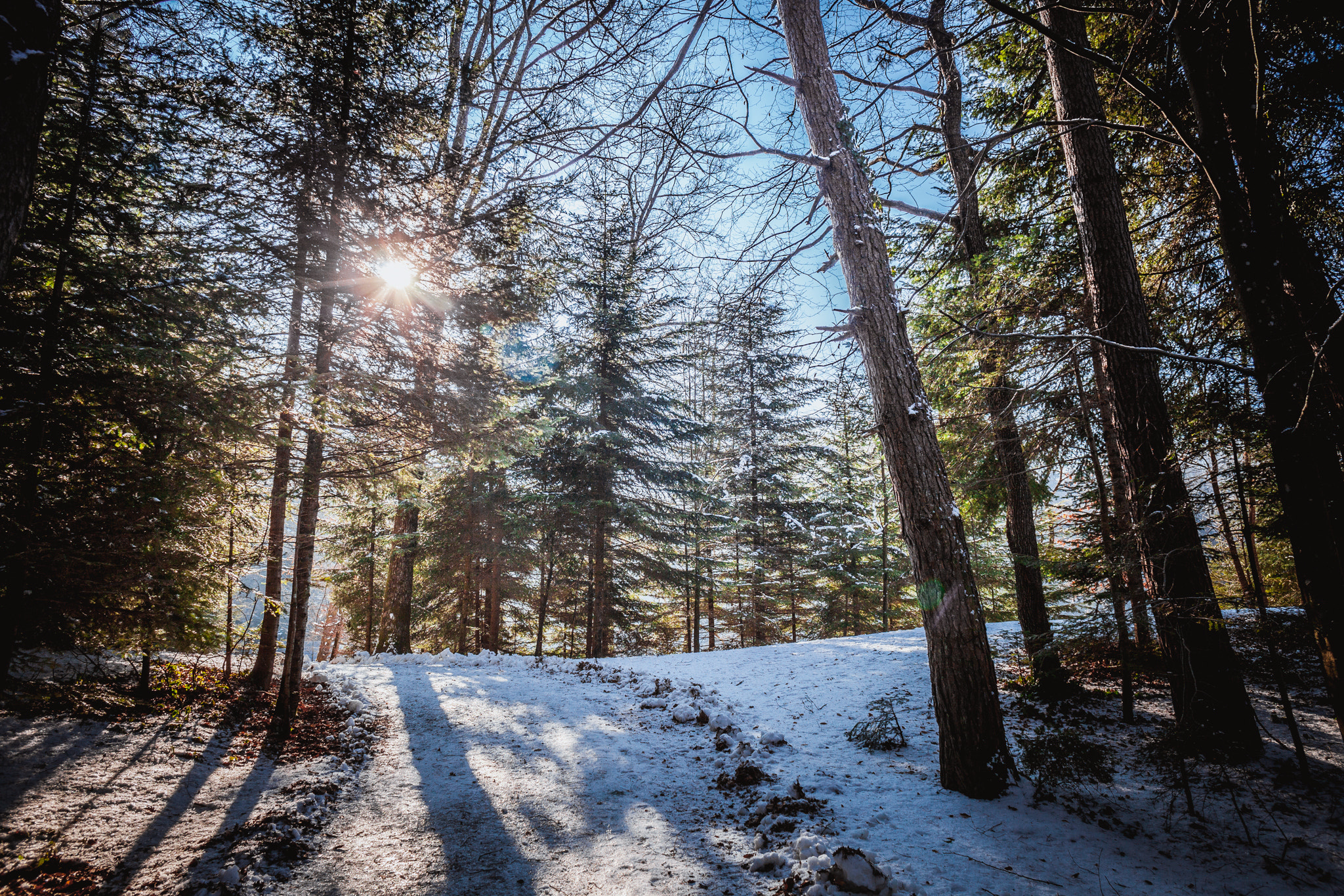 Canon EOS 5D Mark II + Canon EF 24mm F2.8 IS USM sample photo. Enjoying sunrays photography