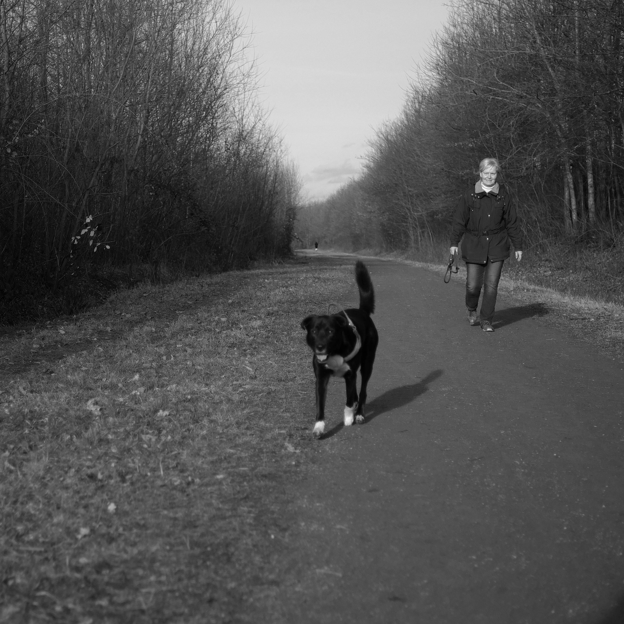 Fujifilm X-E1 sample photo. Walking with black dog 3 photography
