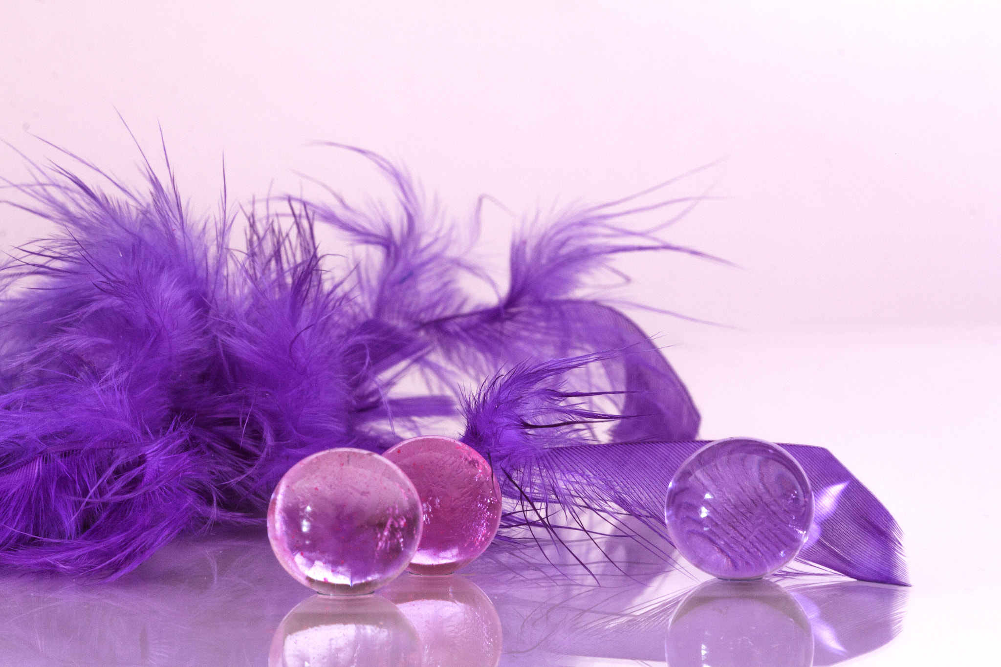 Canon EF 100mm F2.8 Macro USM sample photo. Feathers  and drops photography