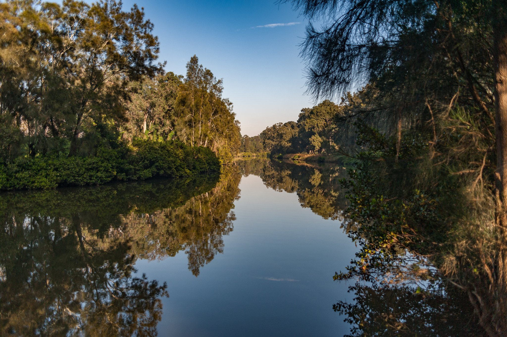 Nikon AF-S Nikkor 28-70mm F2.8 ED-IF sample photo. Georges river landsvale photography