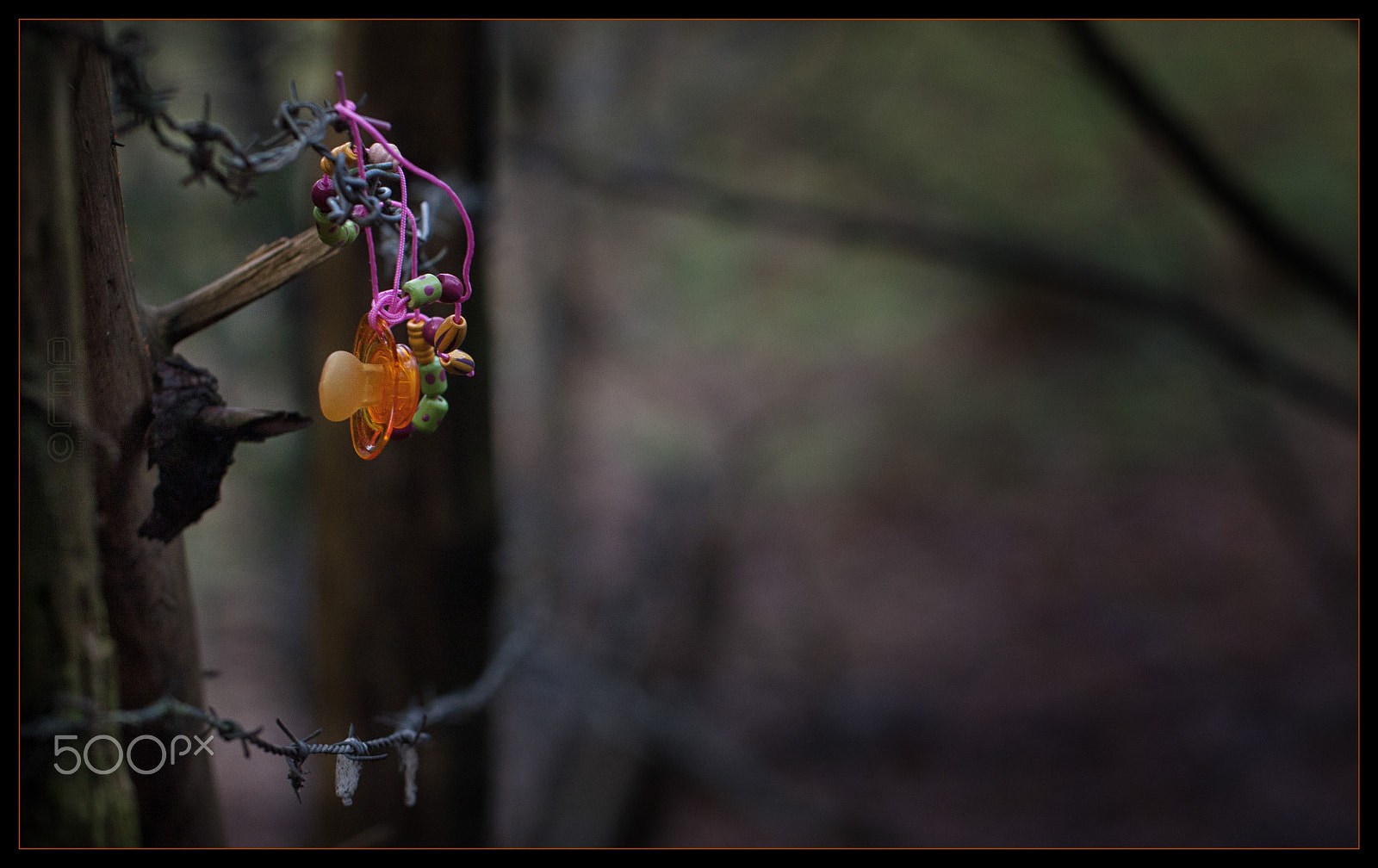 Canon EF 100mm F2.8L Macro IS USM sample photo. Lost, verloren, verlassen ..... photography