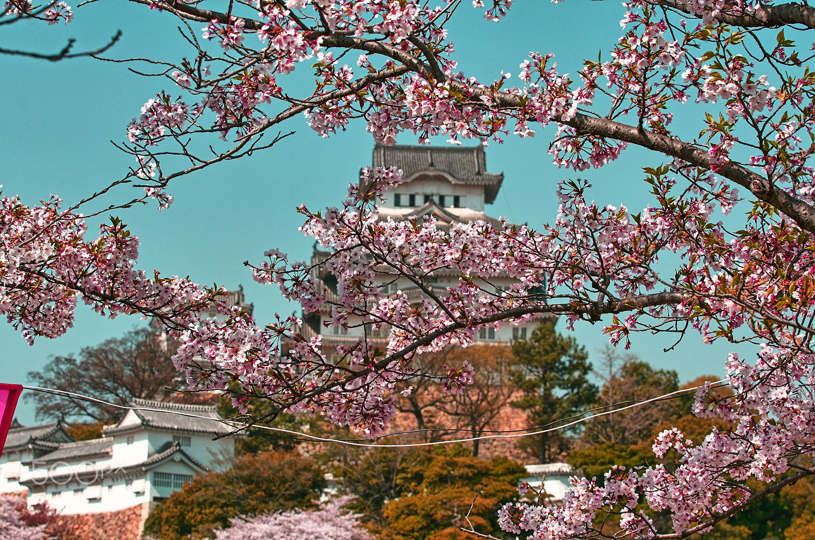 Canon EOS 400D (EOS Digital Rebel XTi / EOS Kiss Digital X) sample photo. Sakura at himeji castle 2 photography