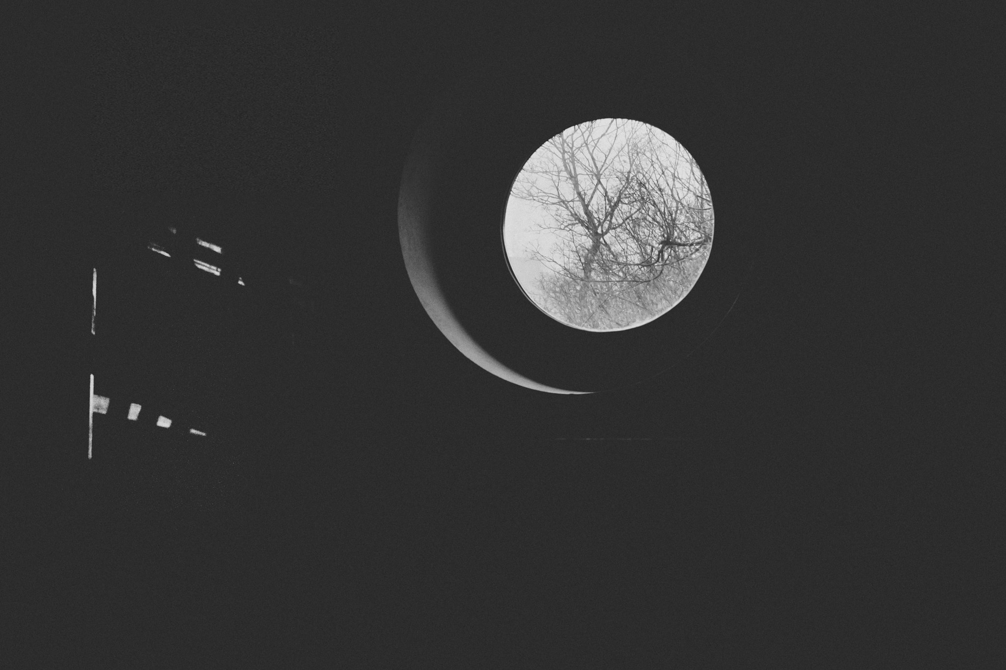 Canon EOS-1D Mark III sample photo. Black tree branches photography