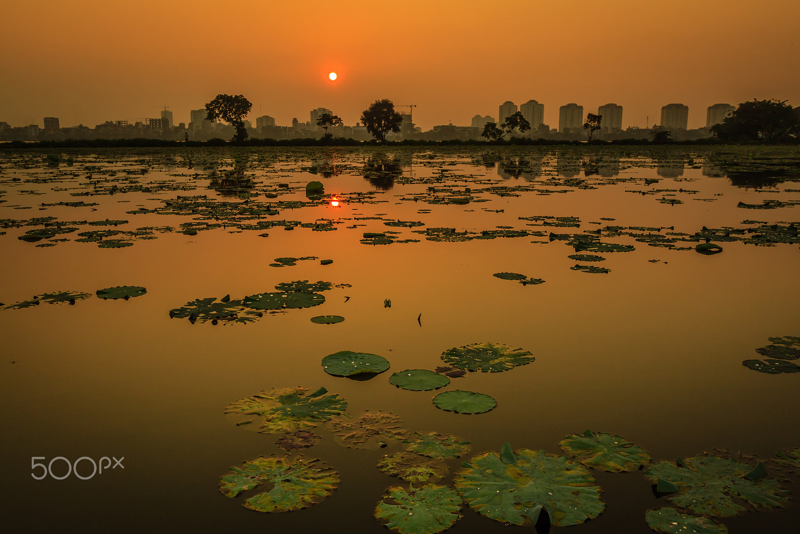 Canon EOS 50D + Canon EF 17-40mm F4L USM sample photo. Sunset on west lake photography