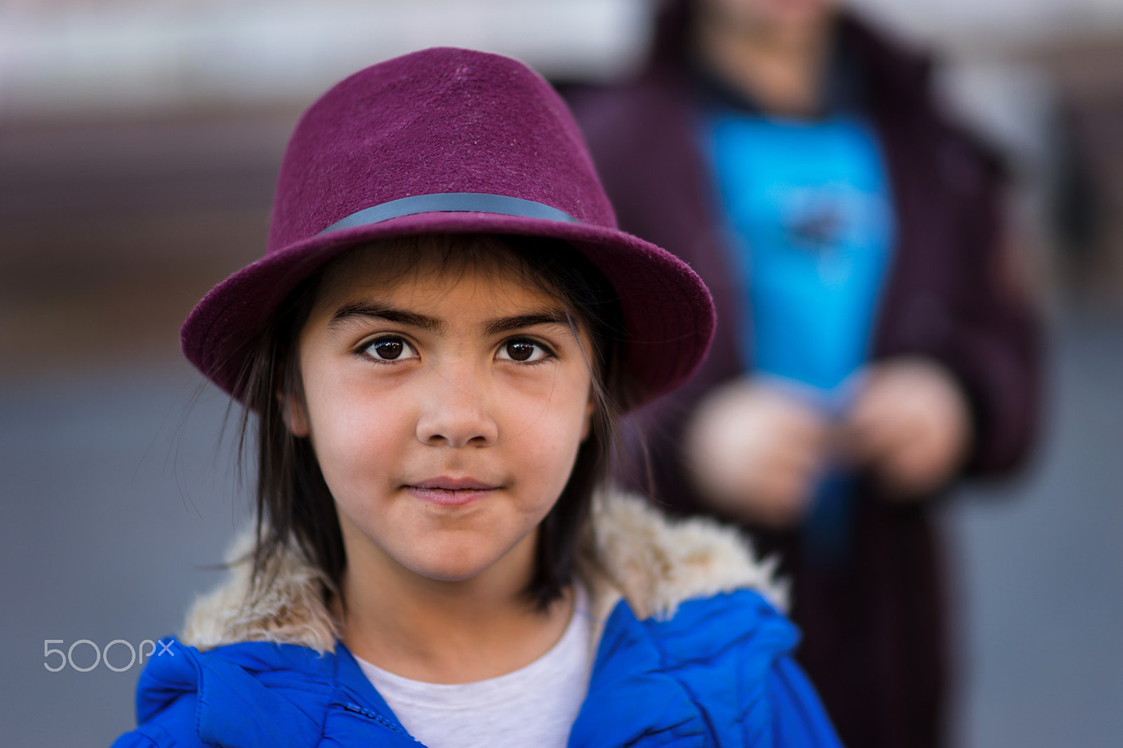 Sony Planar T* 85mm F1.4 ZA sample photo. Purple... photography