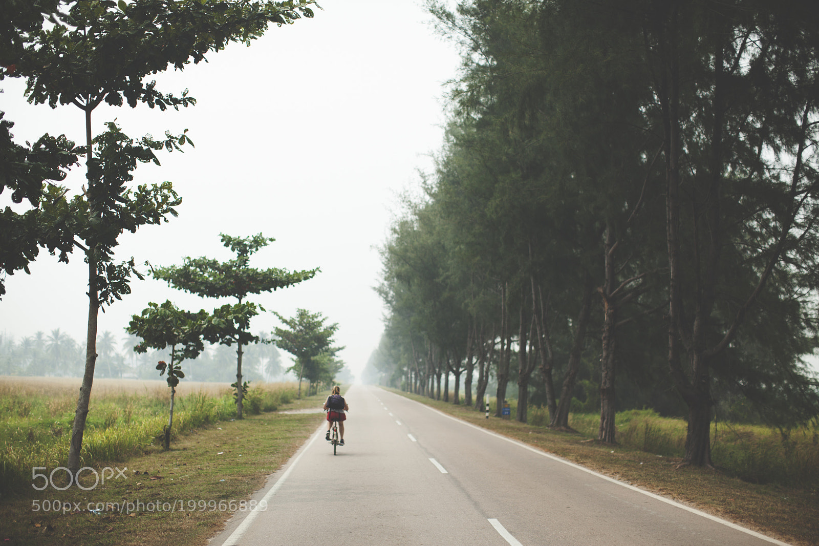 Canon EOS 5D Mark II sample photo. Untitled photography