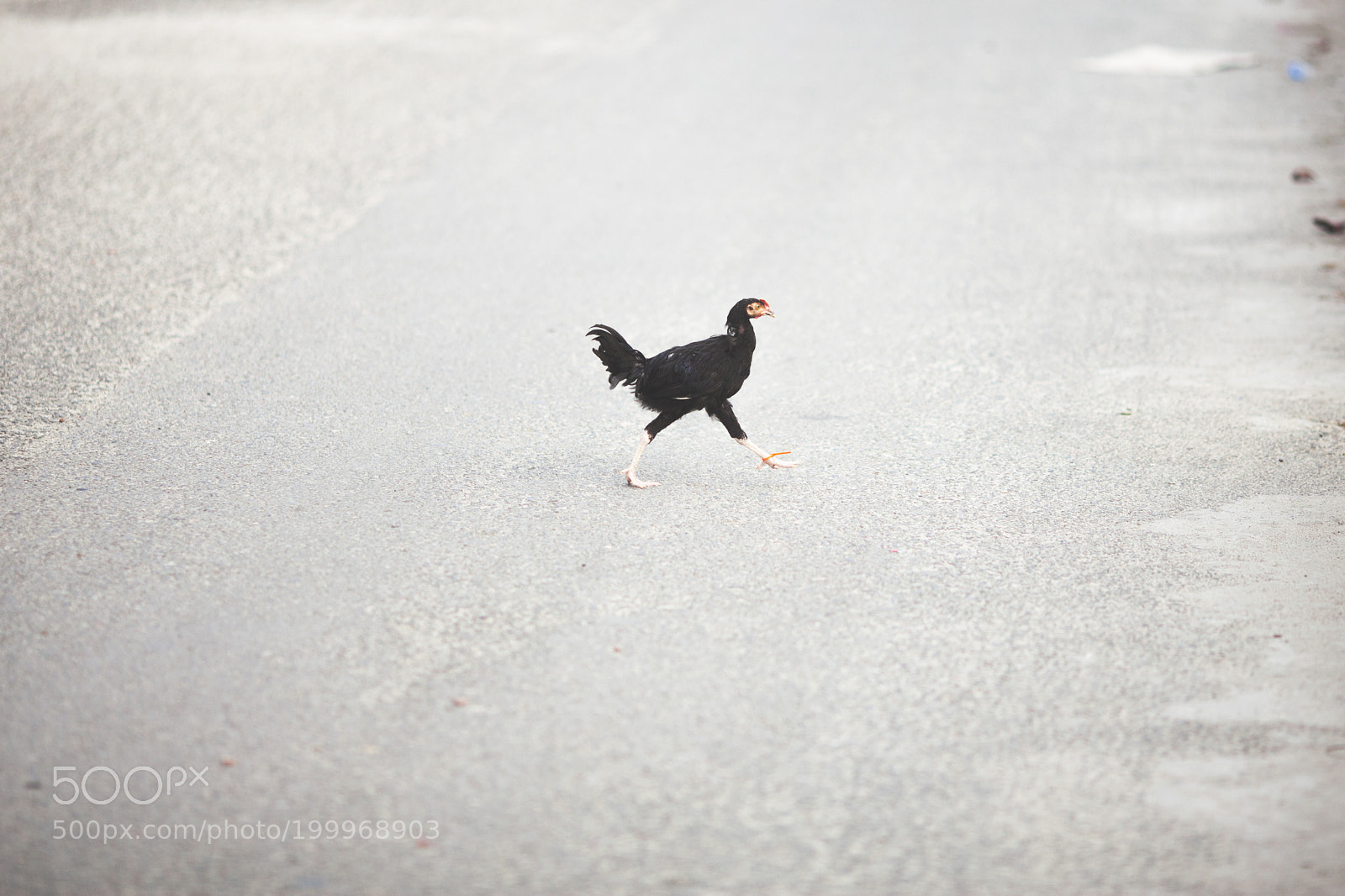 Canon EOS 5D Mark II sample photo. Untitled photography