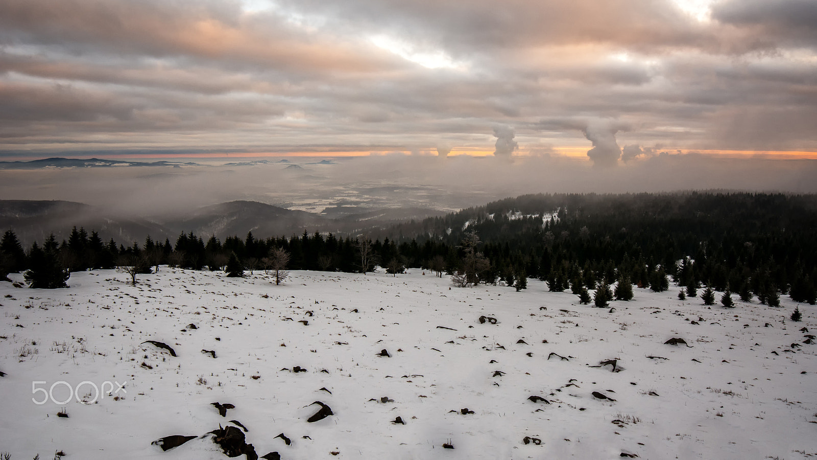 Samyang 14mm F2.8 ED AS IF UMC sample photo. Central bohemian uplands is alive? photography