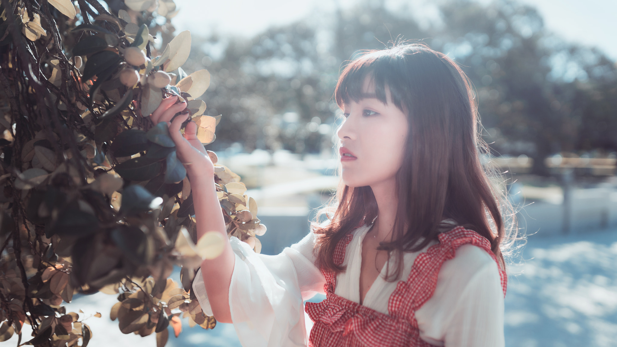 Sigma 35mm F1.4 DG HSM Art sample photo. Seeking photography
