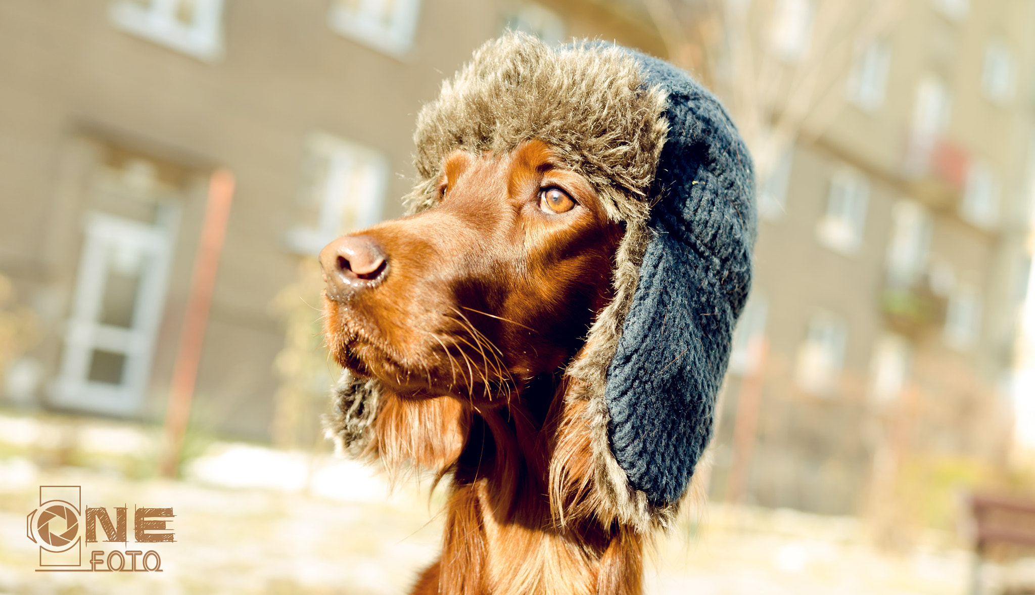 Nikon D7000 + Sigma 18-35mm F1.8 DC HSM Art sample photo. Onefoto.cz photography