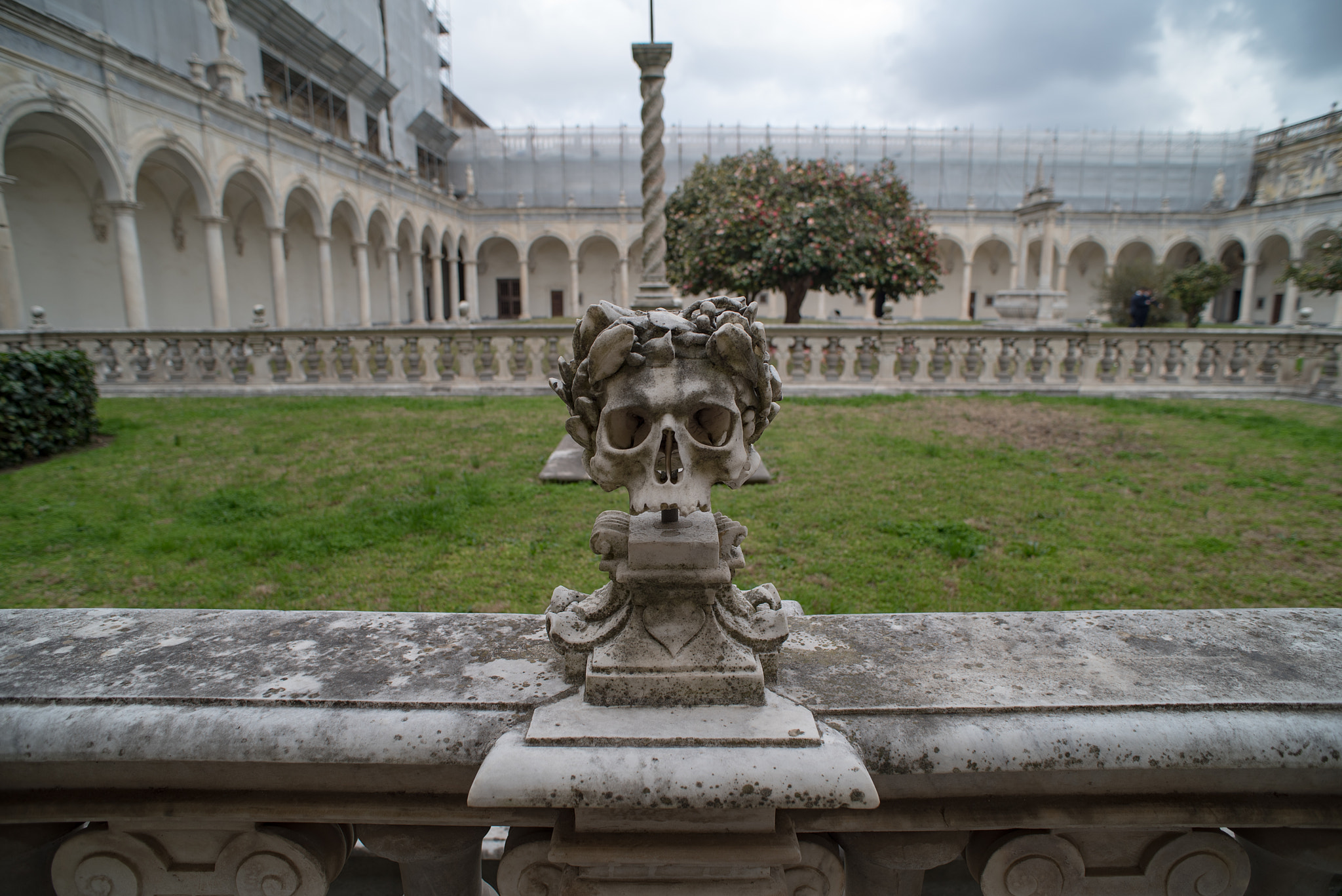 Nikon D750 + AF Nikkor 20mm f/2.8 sample photo. Stone skull photography