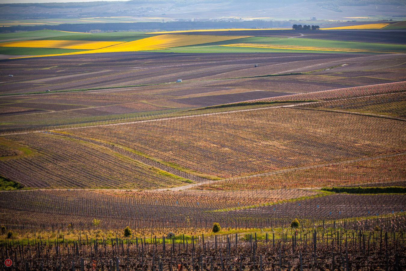 Canon EF 70-200mm F2.8L IS II USM sample photo. Bouzy, route touristique du champagne, france photography