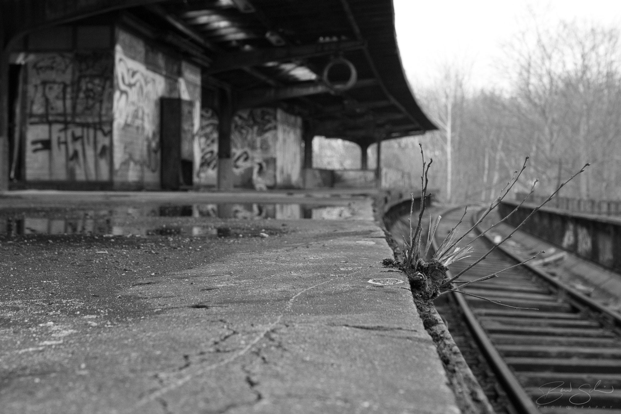 Canon EF 300mm f/2.8L sample photo. Lost train station photography