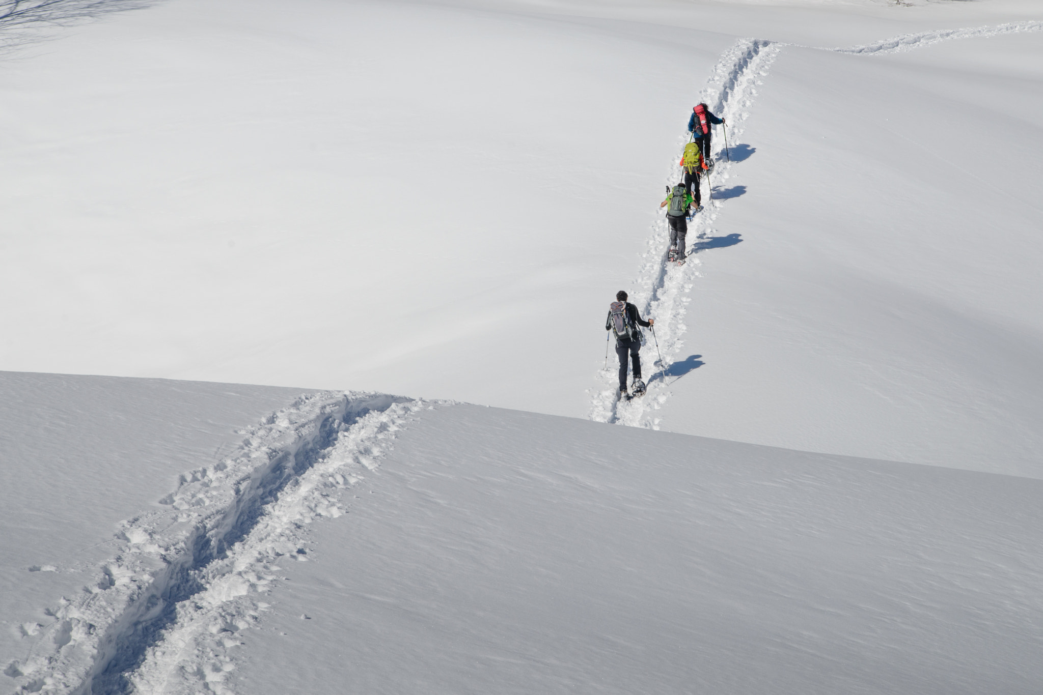 Nikon D800 sample photo. Snowshoeing photography