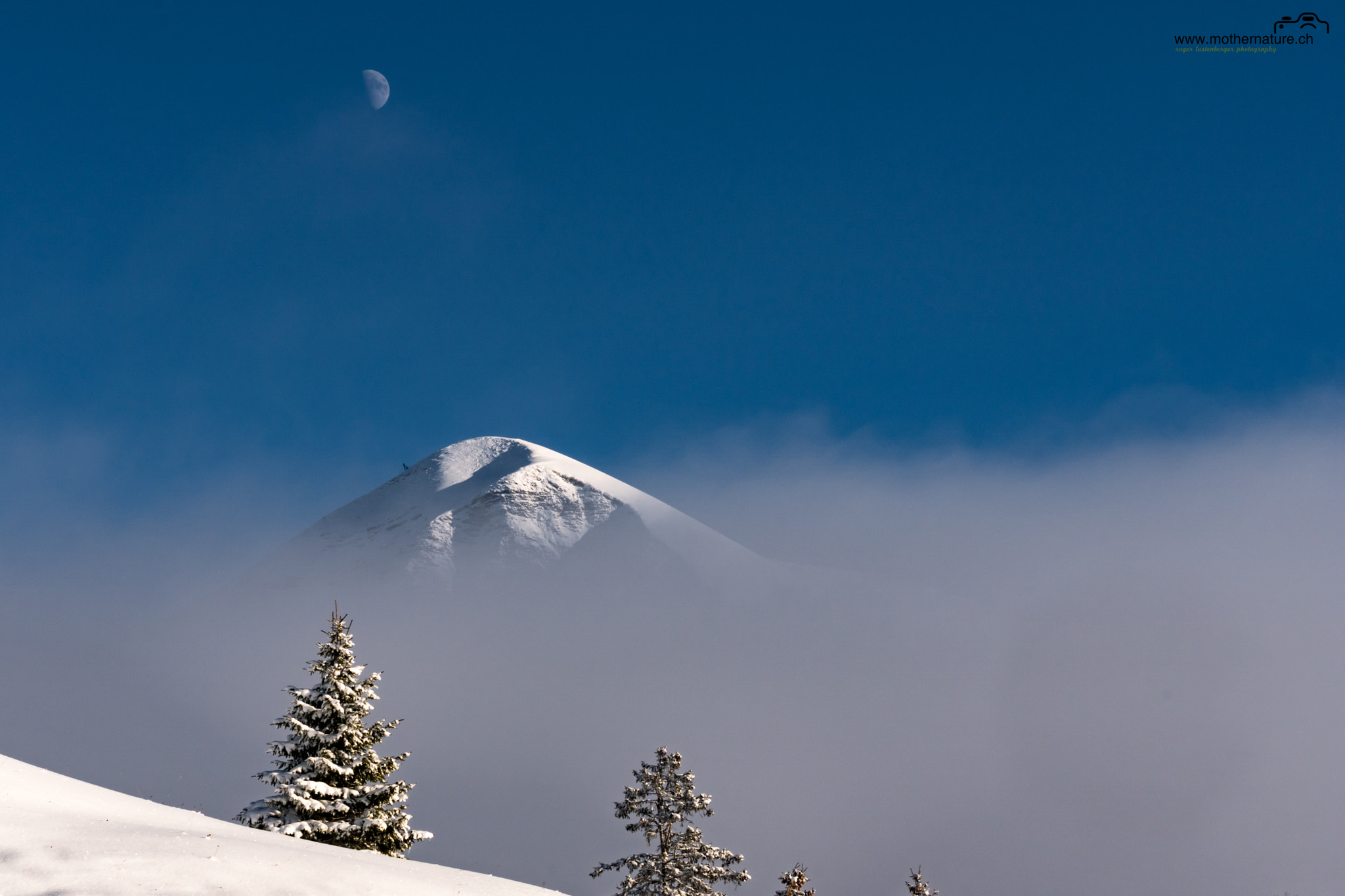 Sony ILCA-77M2 + Minolta/Sony AF 70-200mm F2.8 G sample photo. Wintermood photography