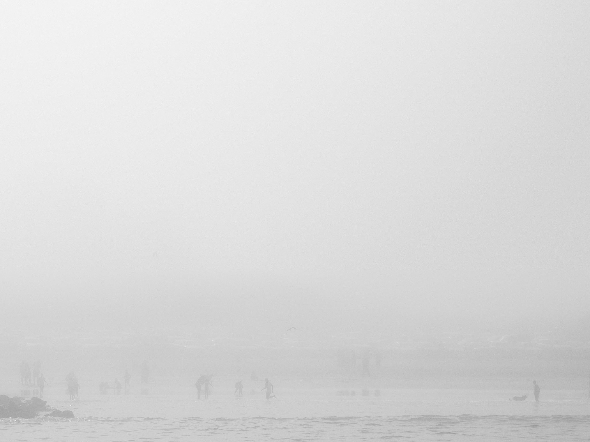 Nikon D3200 sample photo. Swimming in the fog photography