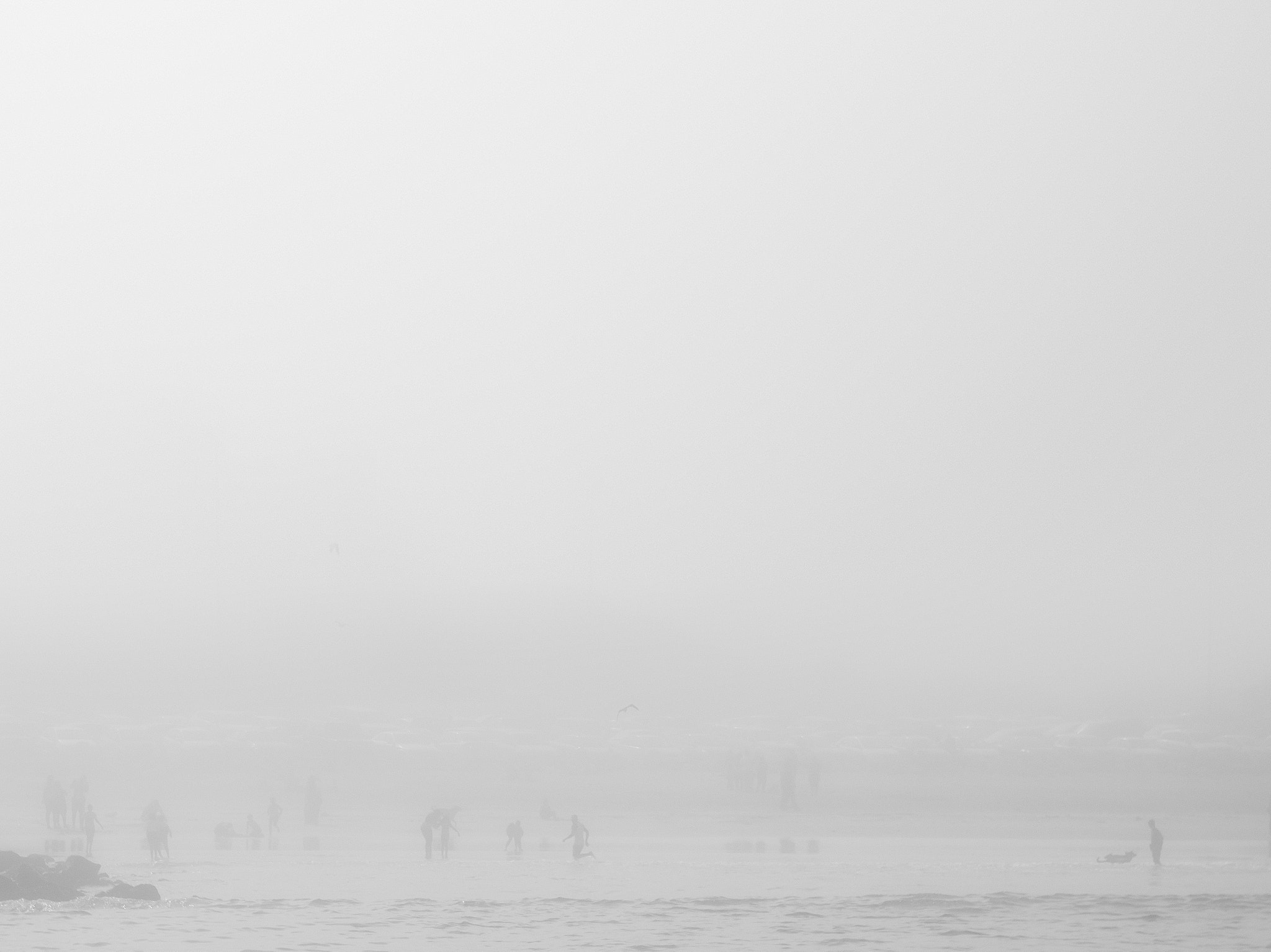 Nikon D3200 + AF Zoom-Nikkor 35-70mm f/2.8D sample photo. Swimming in the fog photography