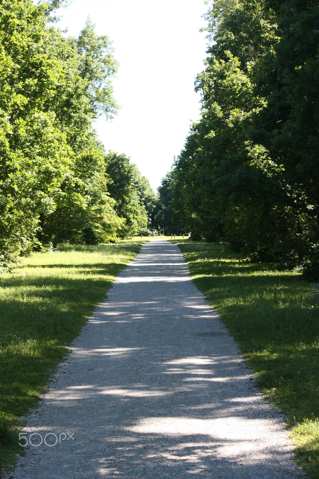 Canon EF-S 55-250mm F4-5.6 IS sample photo. Parco di monza photography