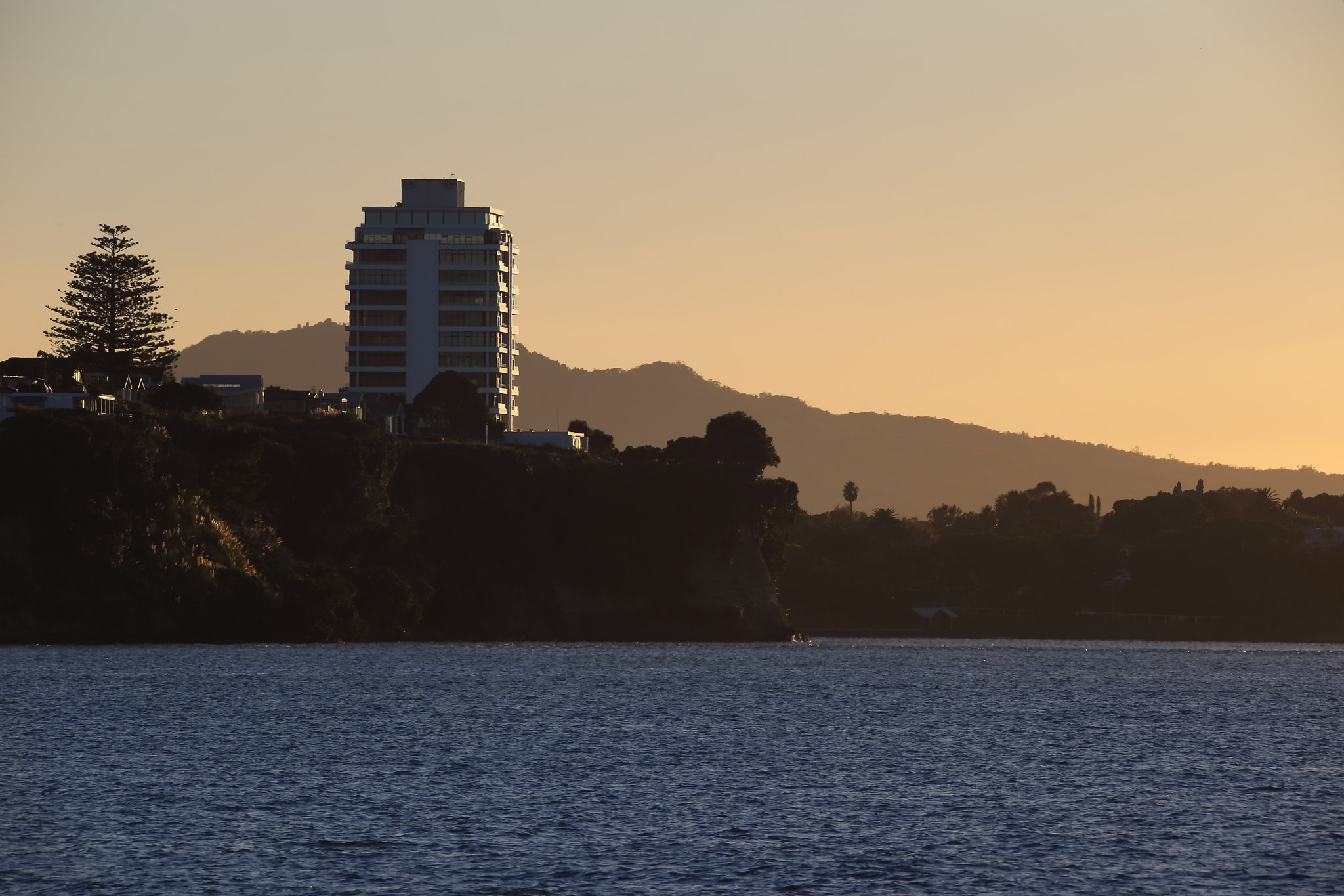 Canon EOS-1D C sample photo. Devonport,auckland photography