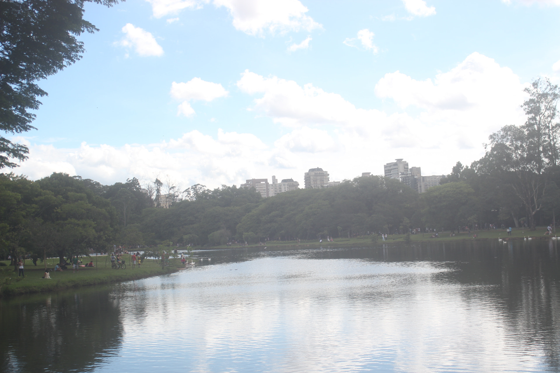 Canon EF 35-80mm f/4-5.6 sample photo