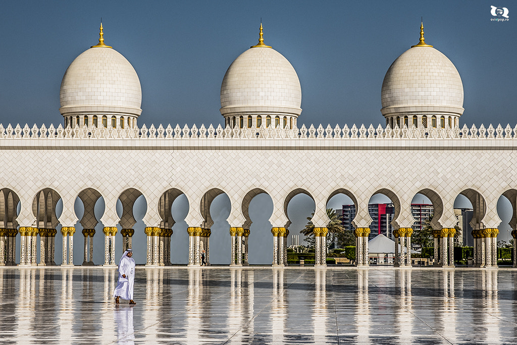 Sigma 24-70mm F2.8 EX DG HSM sample photo. Grand mosque photography
