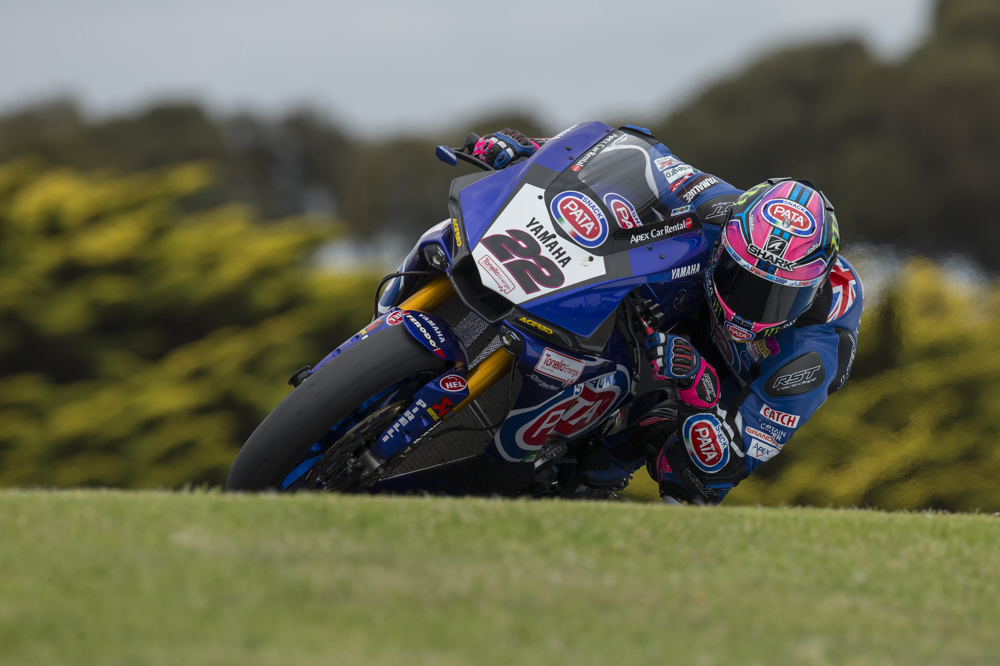Canon EF 500mm F4L IS II USM sample photo. Alex lowes photography