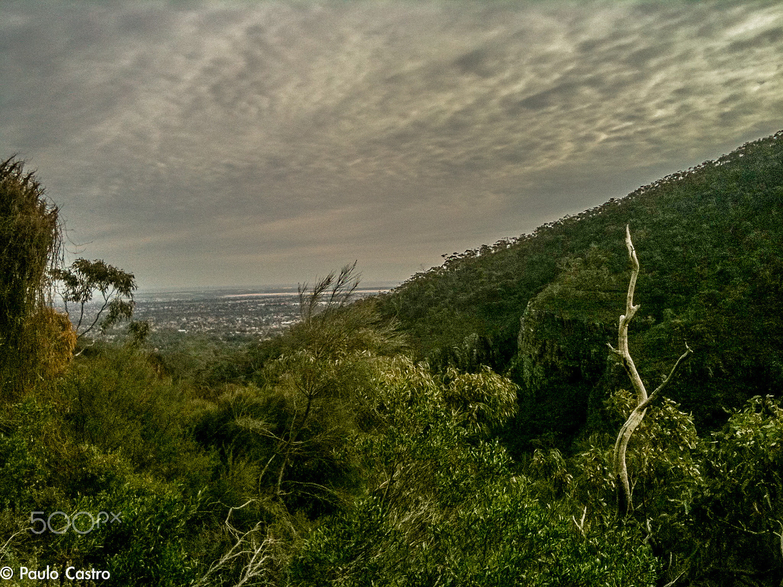 Apple iPhone 3GS sample photo. Morialta photography