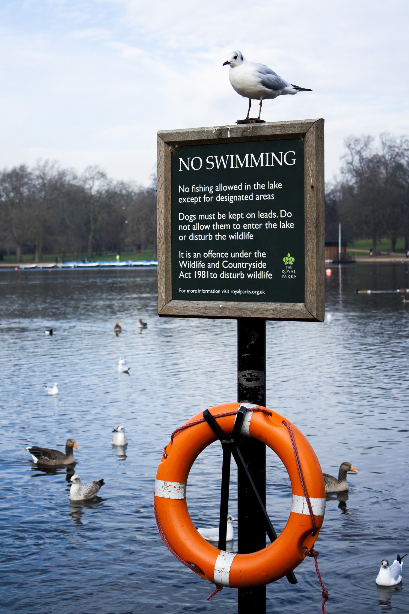 Canon EOS 1000D (EOS Digital Rebel XS / EOS Kiss F) sample photo. • no swimming • photography