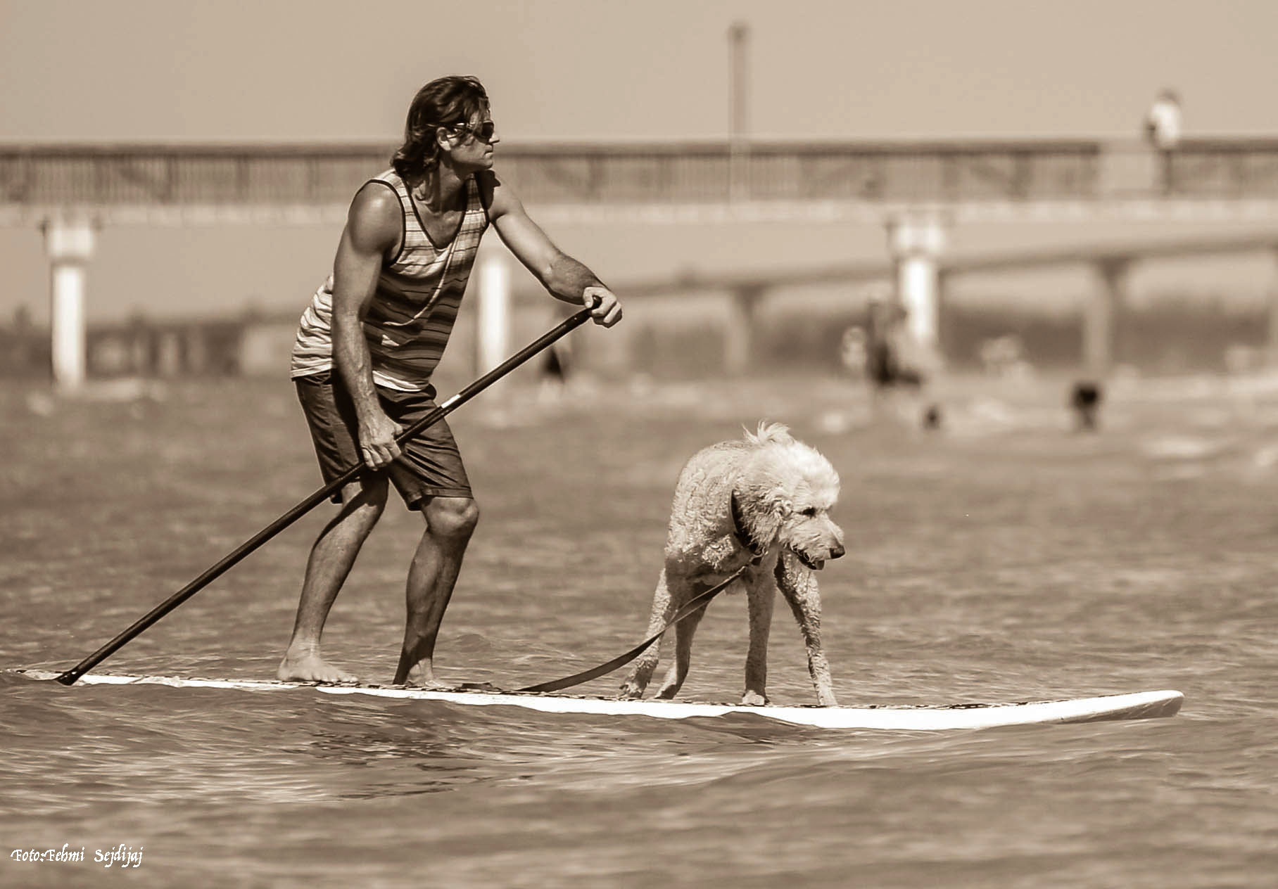 Sigma 150-500mm F5-6.3 DG OS HSM sample photo. Sensible beach photography