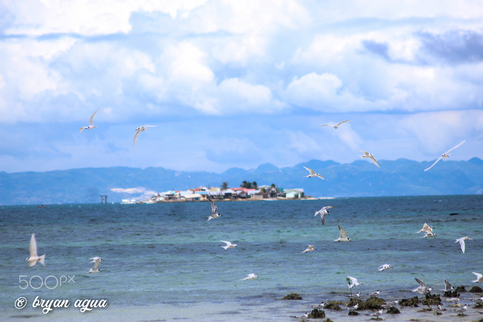 Canon EOS 1200D (EOS Rebel T5 / EOS Kiss X70 / EOS Hi) sample photo. Tubigon, bohol photography