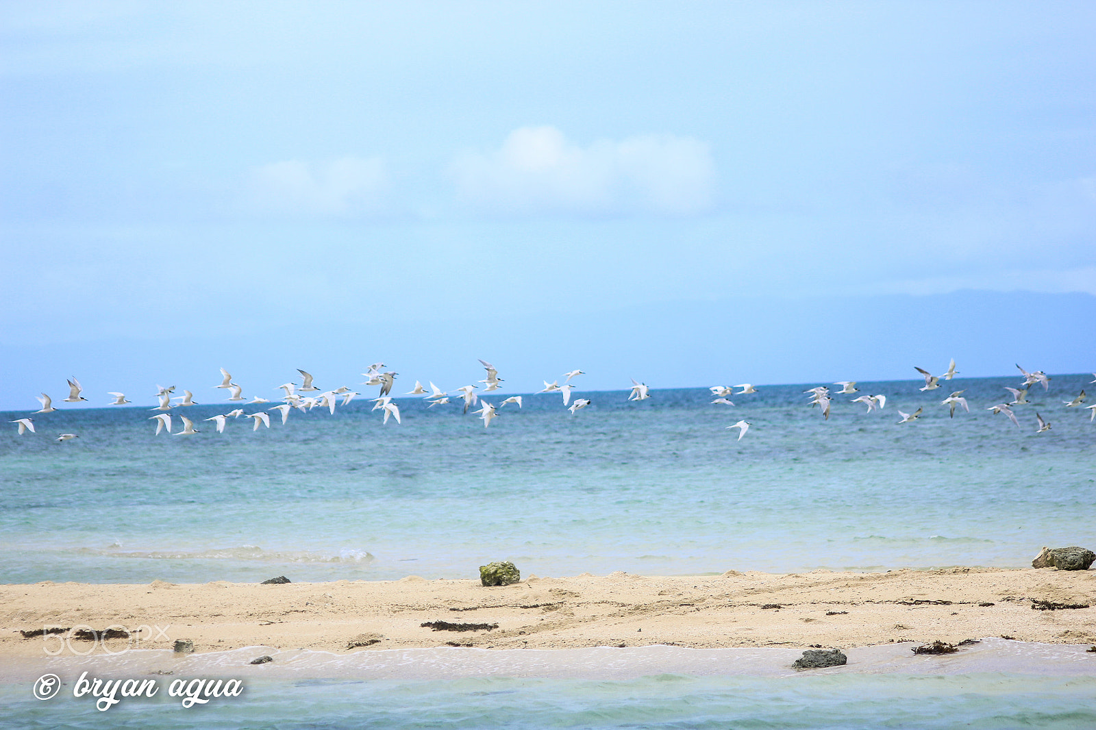 Canon EOS 1200D (EOS Rebel T5 / EOS Kiss X70 / EOS Hi) sample photo. Tubigon, bohol photography