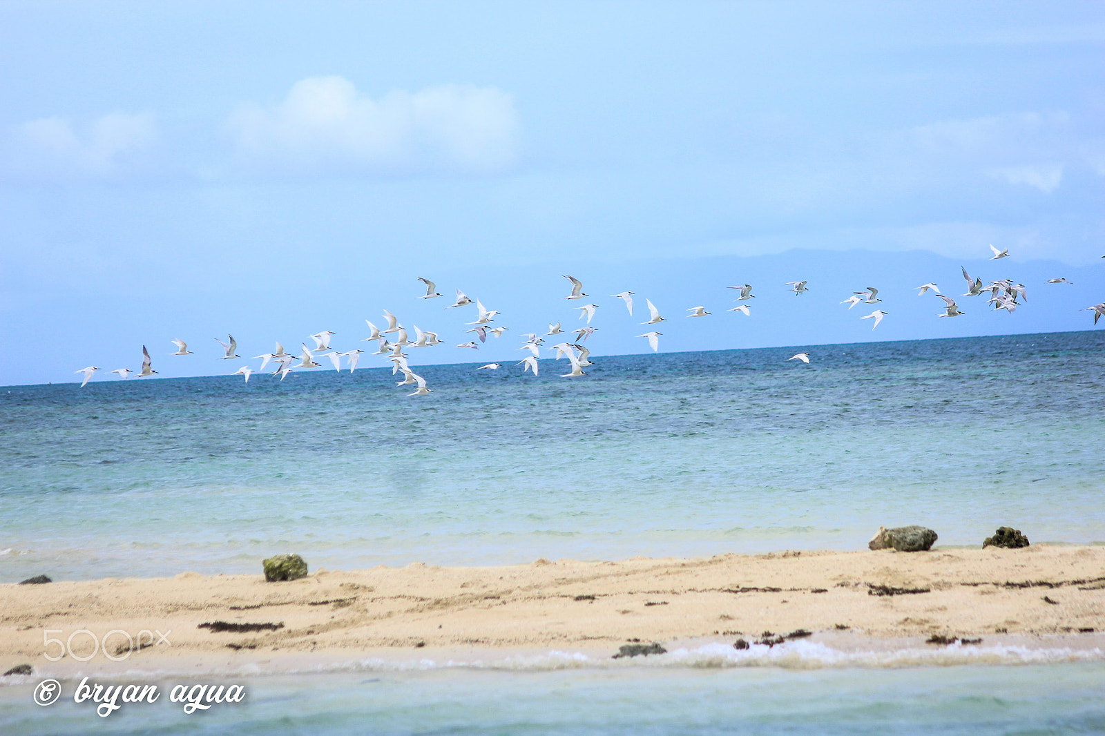 Canon EOS 1200D (EOS Rebel T5 / EOS Kiss X70 / EOS Hi) sample photo. Tubigon, bohol photography