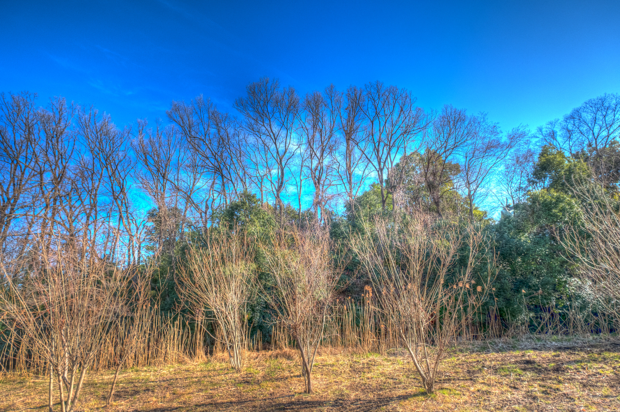 Fujifilm X-Pro2 + Fujifilm XF 10-24mm F4 R OIS sample photo. Untitled photography