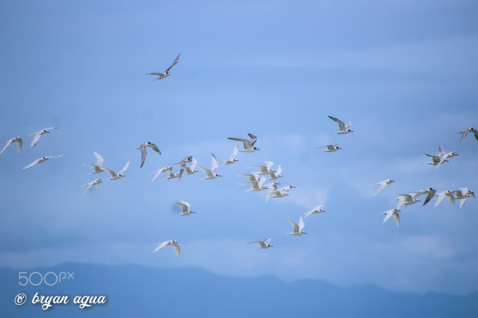 Canon EOS 1200D (EOS Rebel T5 / EOS Kiss X70 / EOS Hi) sample photo. Tubigon, bohol photography