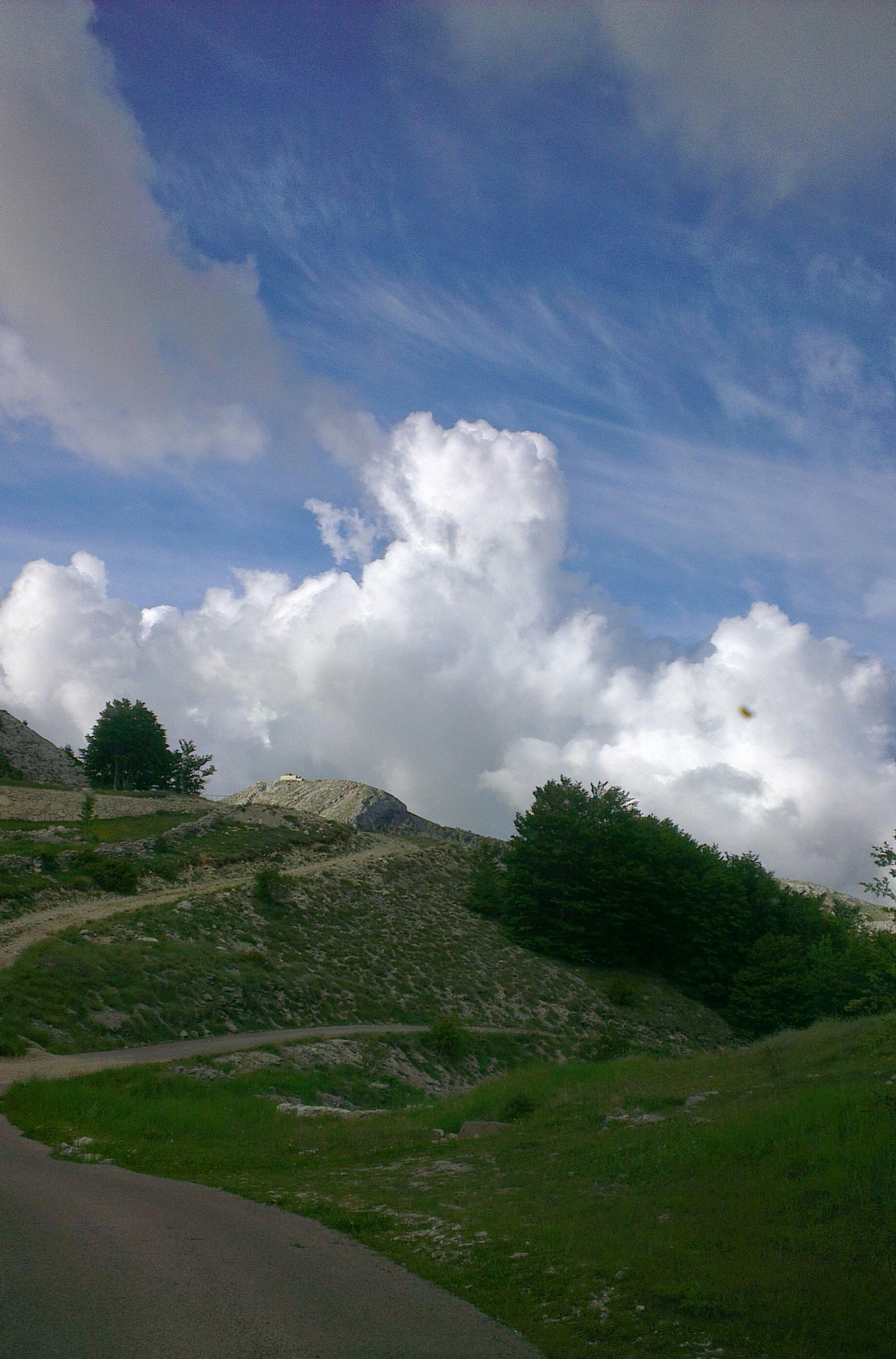 HTC ONE X sample photo