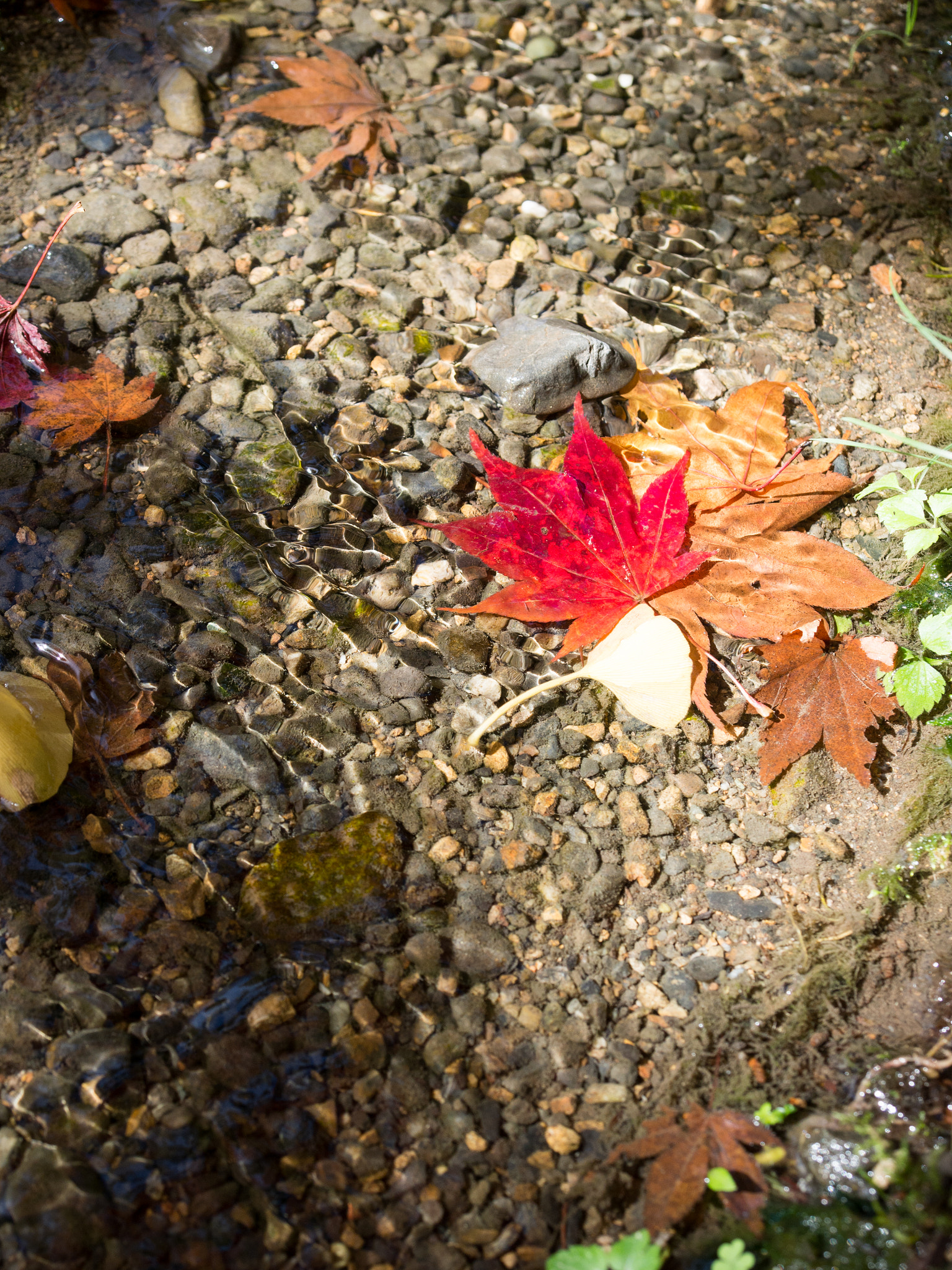 Olympus OM-D E-M5 sample photo. Koyasan in osaka photography