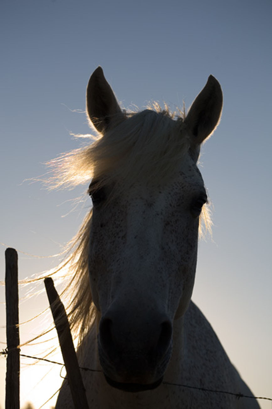 Canon EF 75-300mm f/4-5.6 USM sample photo. Img photography