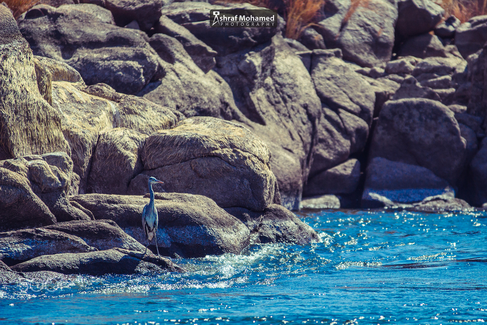 Sigma 70-200mm F2.8 EX DG OS HSM sample photo. Cross the island photography