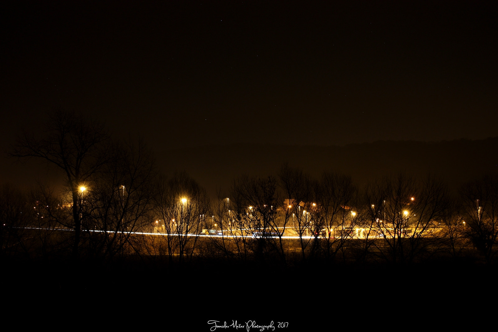 Canon EF-S 24mm F2.8 STM sample photo. View through the trees photography