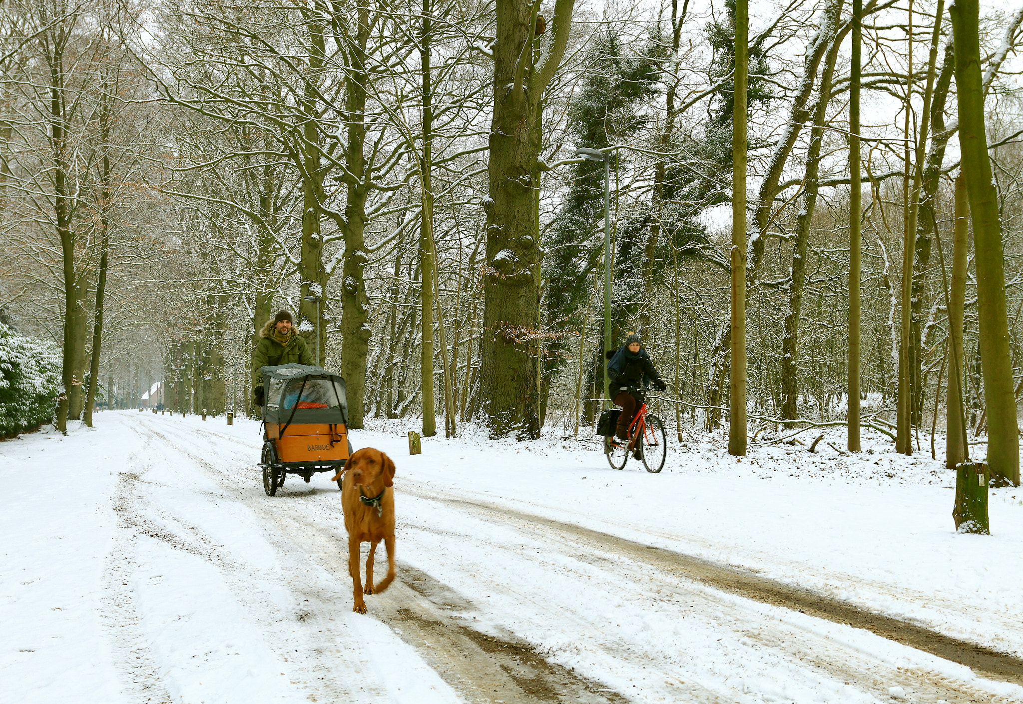 Canon EOS 70D + Canon EF 17-40mm F4L USM sample photo. Winter tafereel photography