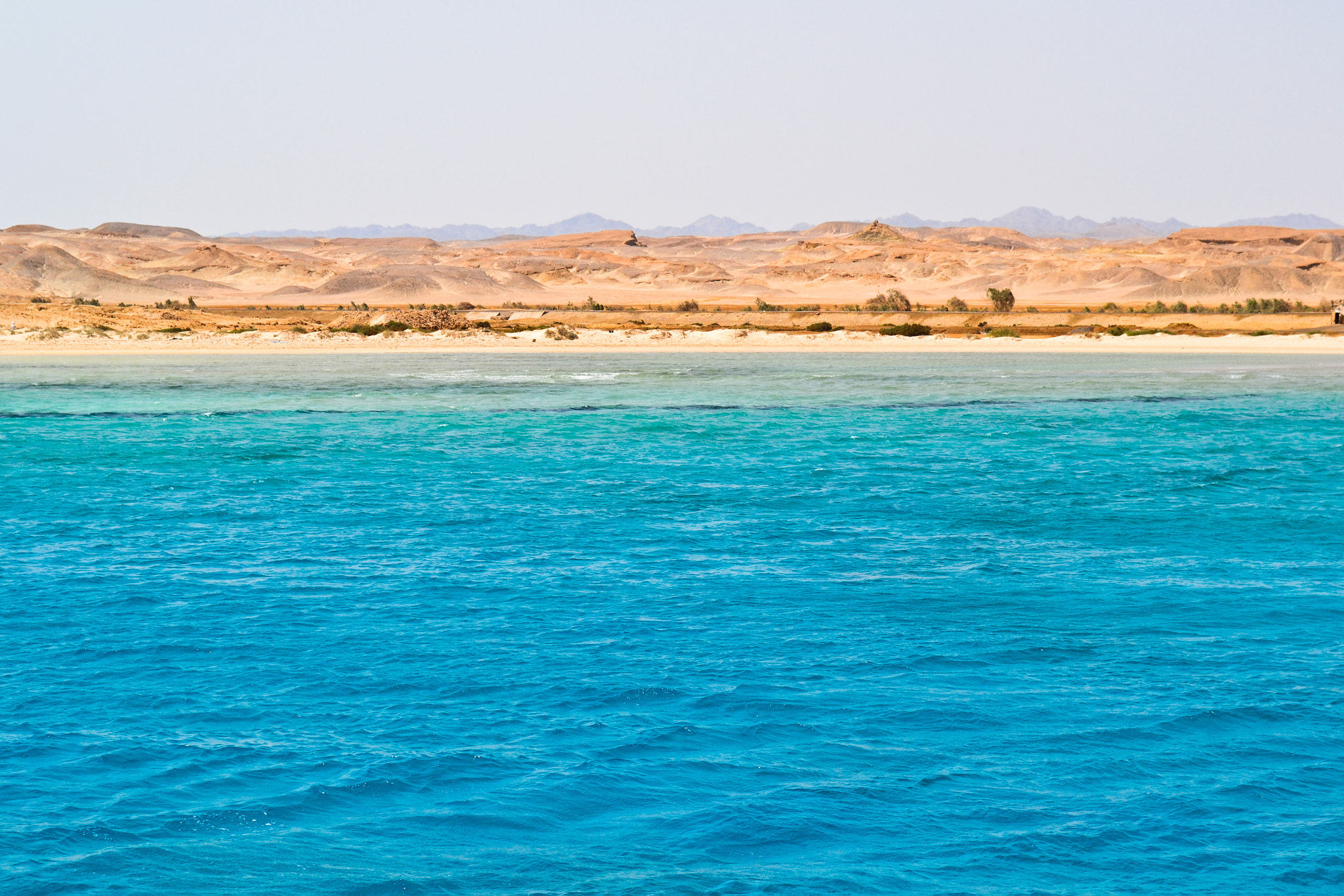 IX-Nikkor 60-180mm f/4.5-5.6 sample photo. On the red sea, egypt, september 2012 photography