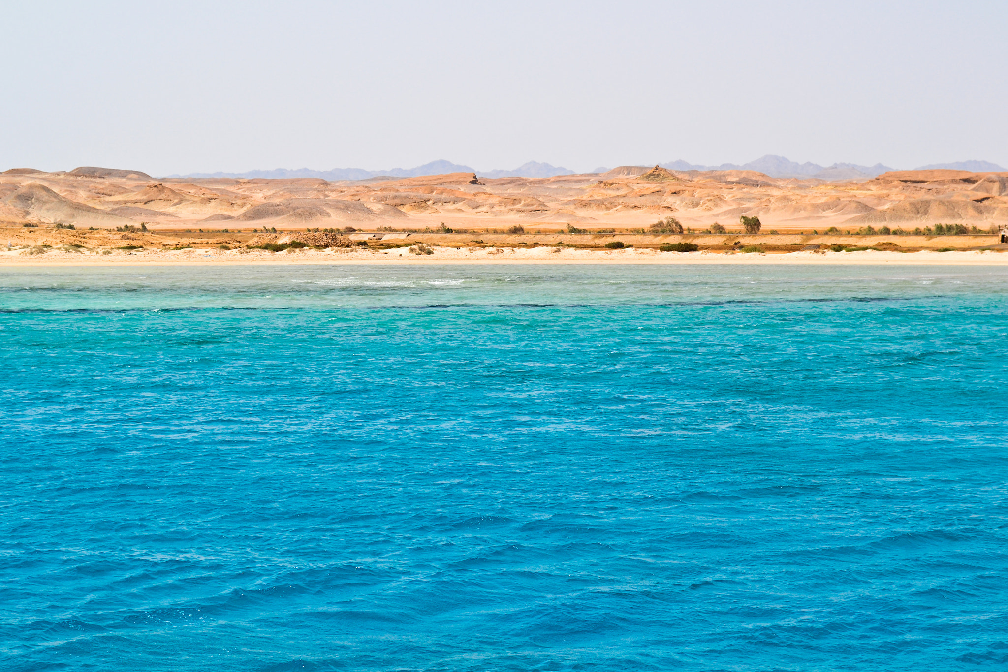 Nikon D3100 + IX-Nikkor 60-180mm f/4.5-5.6 sample photo. On the red sea, egypt, september 2012 photography